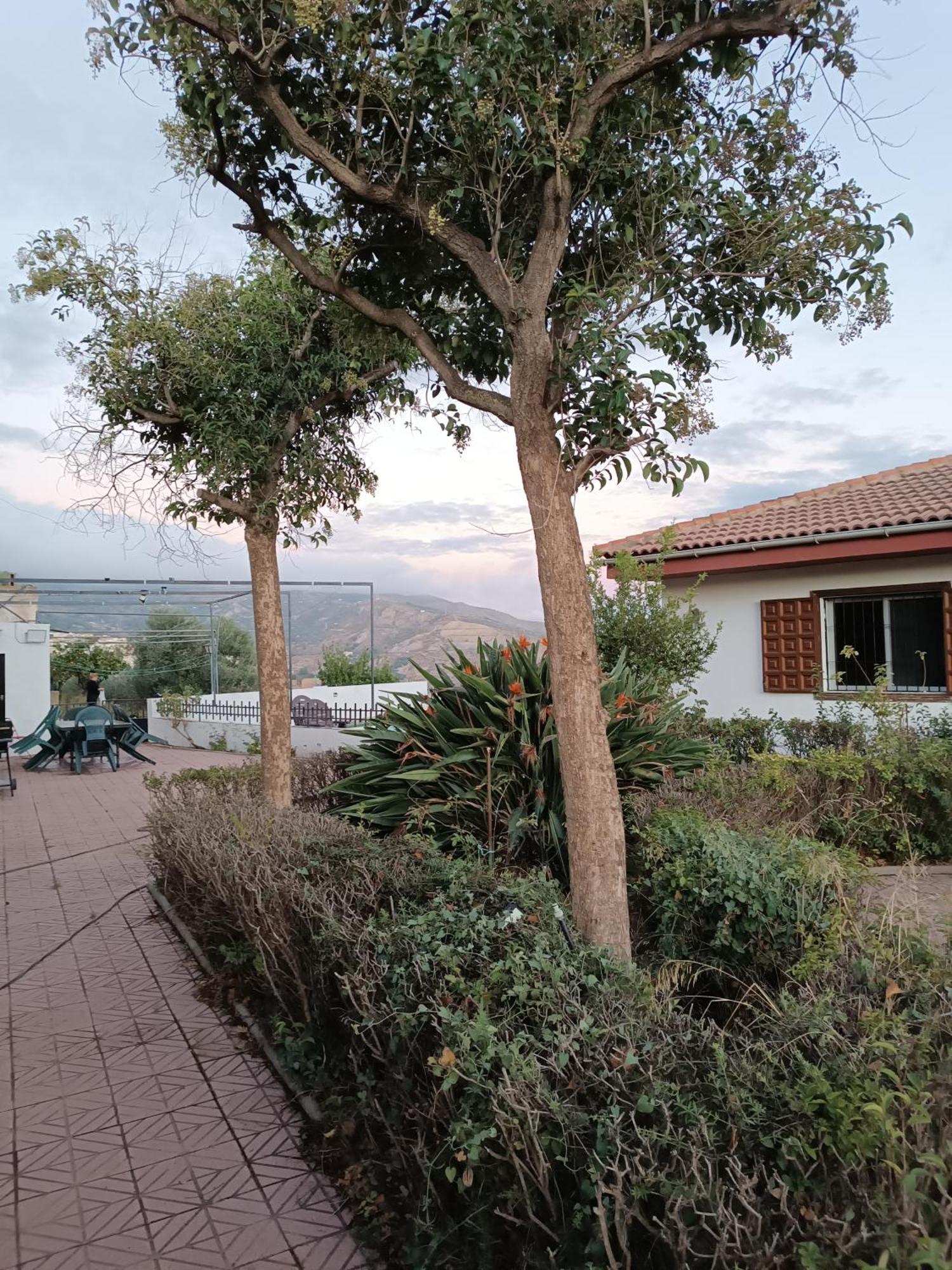 Casa Rural Chalet Venta Del Aire Cortijo Terron Lanjarón Esterno foto